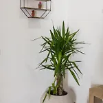Maison Zisa - Proppro Srl - * Palermo